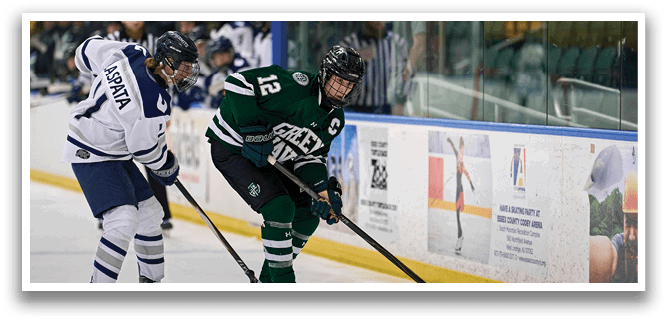 Two hockey players are on the ice, one with a green jersey and the other with a white jersey. The green player is holding a stick and appears to be trying to shoot the puck. The white player is trying to block the shot. AI generated content