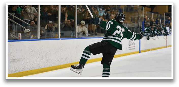 A hockey player celebrates a goal with his teammates. AI generated content