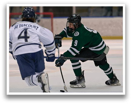 Two hockey players are on the ice, one with the number 9 on his jersey. AI generated content