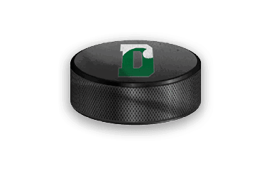 A collection of sports-related items, including a hockey stick, a jersey, and a green and white sign. AI generated content