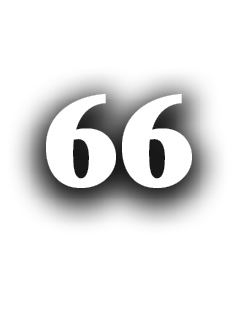 66