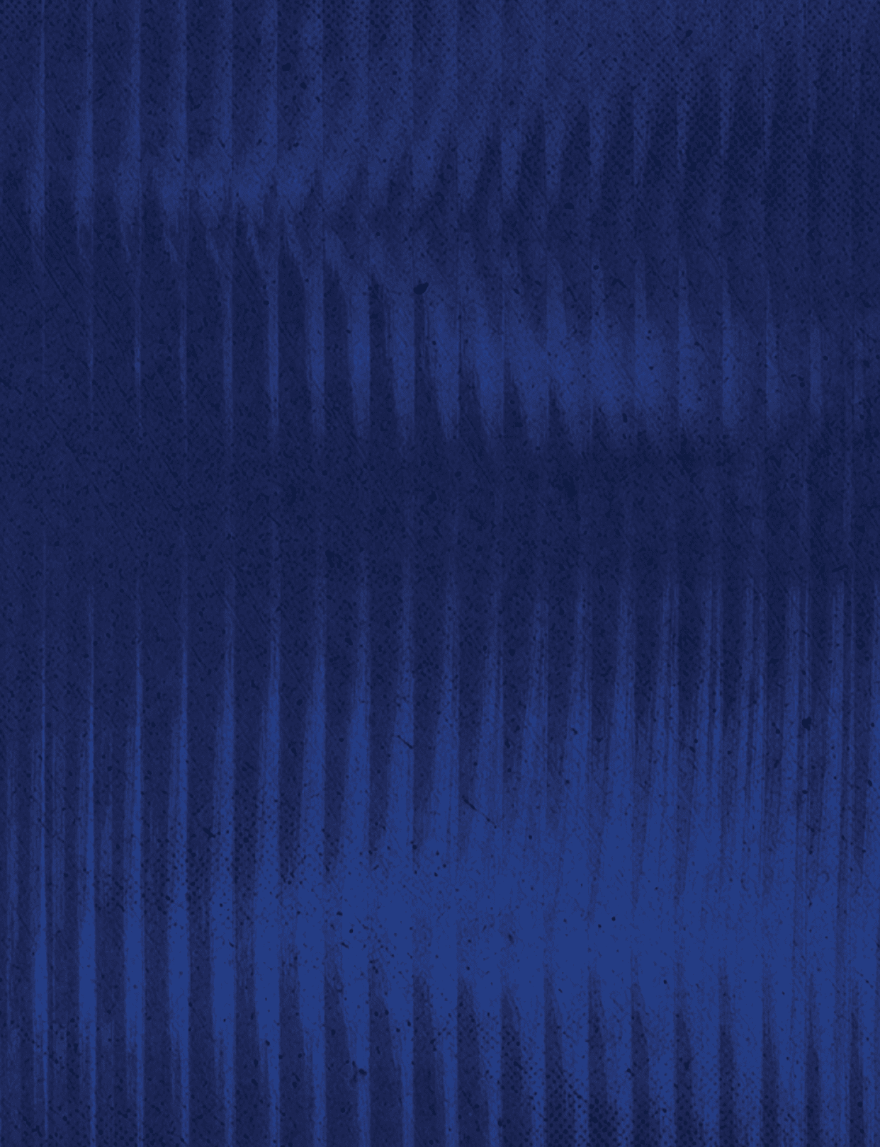 A blue and white patterned wallpaper. Description generated by AI