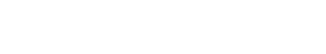 C TEAM