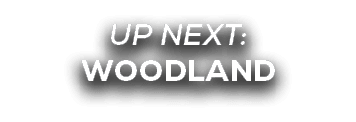 UP NEXT: WOODLAND