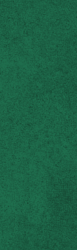 A close-up view of a textured green surface with small black specks scattered throughout. Description generated by AI
