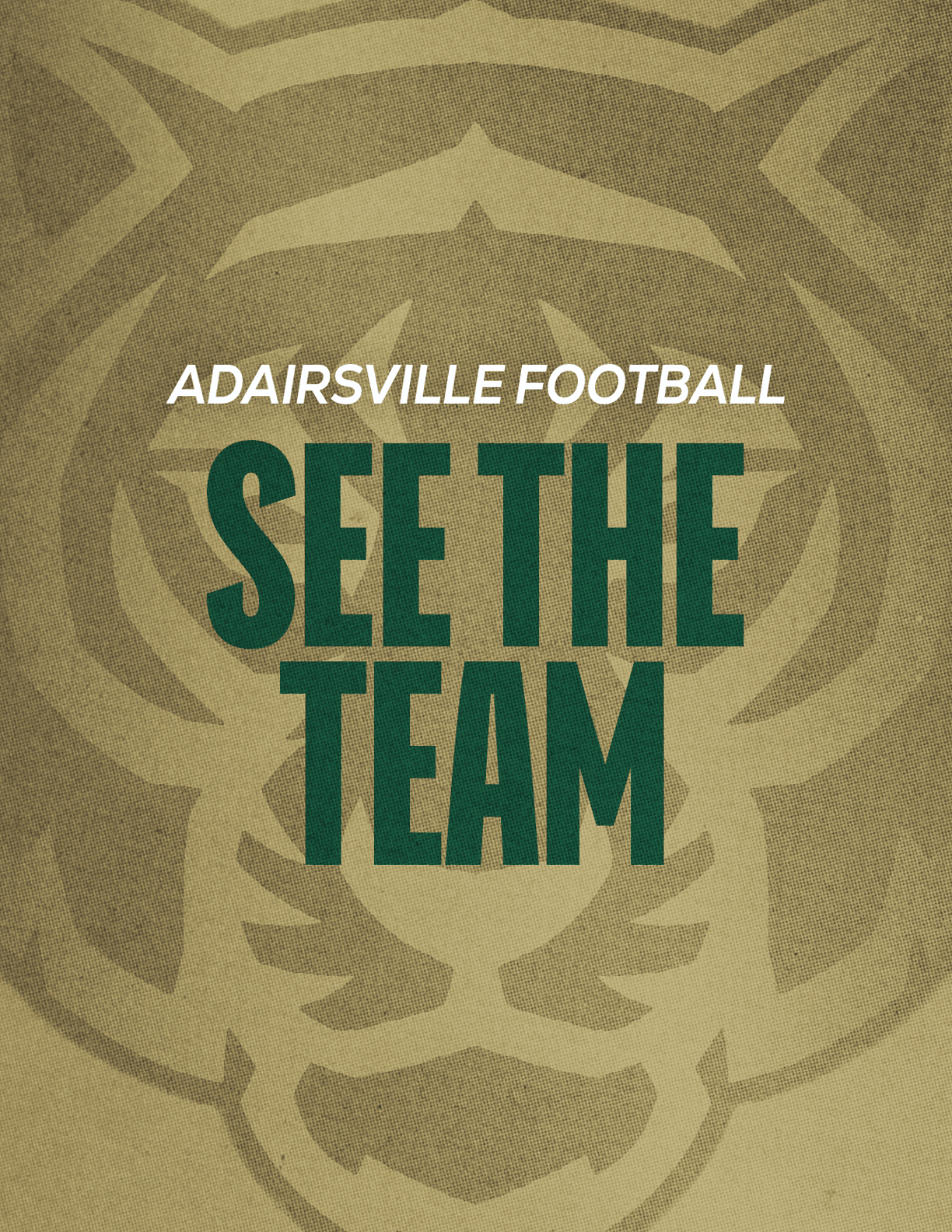 The image features bold text reading “ADAIRSVILLE FOOTBALL SEE THE TEAM" over a textured background with a faint outline of a bear's face. Description generated by AI