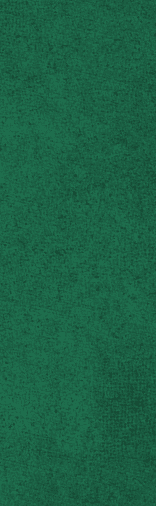 A close-up view of a textured green surface with small black specks scattered throughout. Description generated by AI
