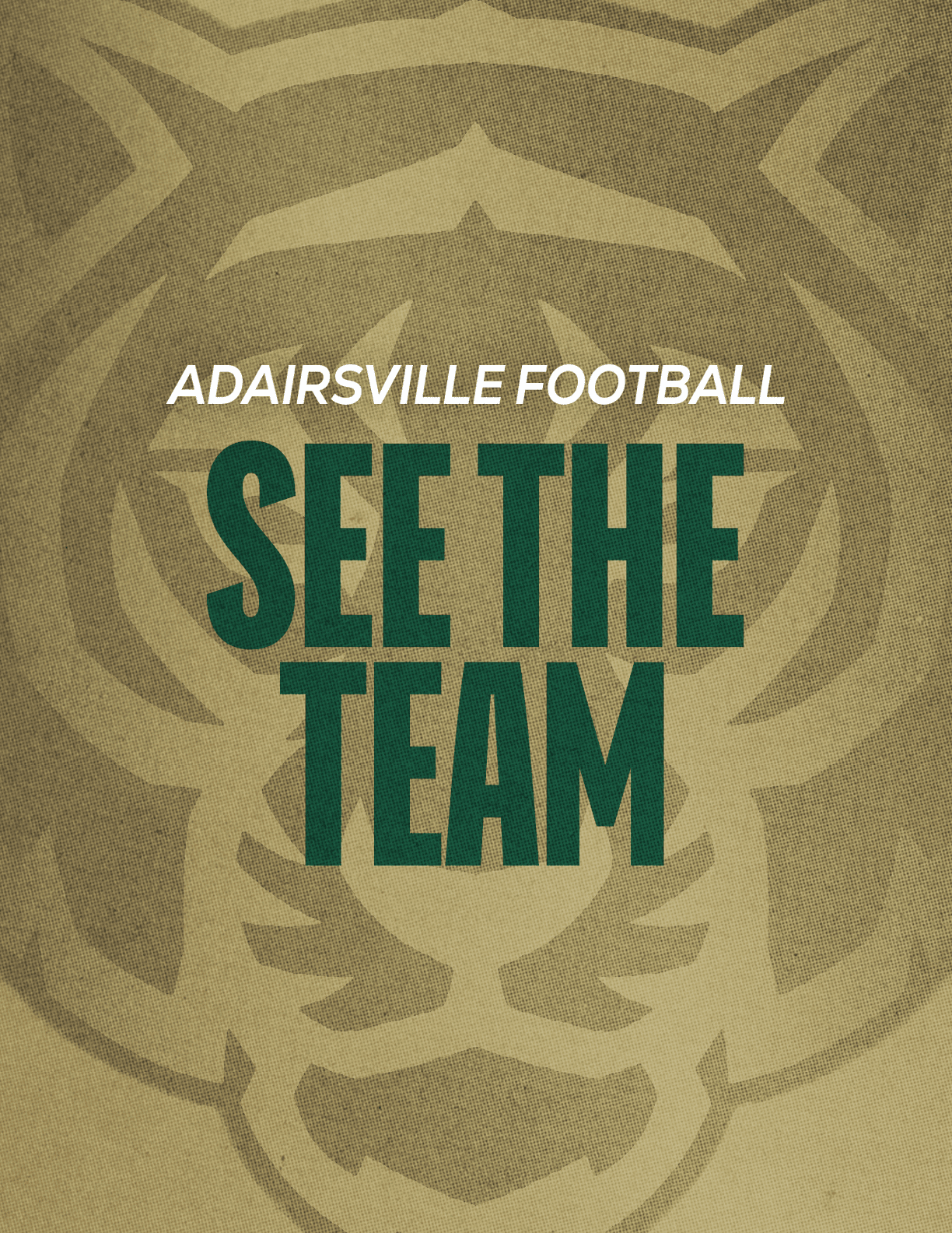 The image features bold text reading “ADAIRSVILLE FOOTBALL SEE THE TEAM" over a textured background with a faint outline of a bear's face. Description generated by AI