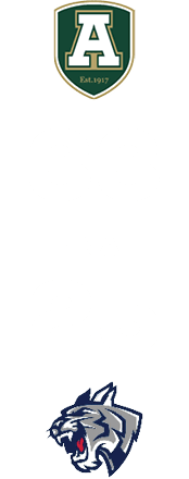 33,FINAL,2