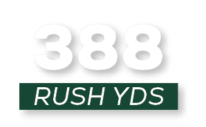 RUSH YDS,38