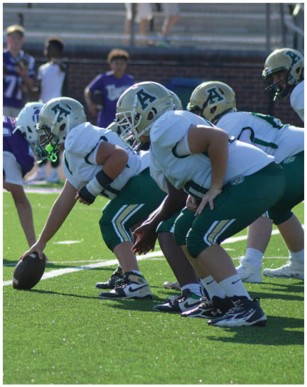 Two opposing football teams in helmets and uniforms are lined up on a green field with one player holding the football ready to snap. Description generated by AI