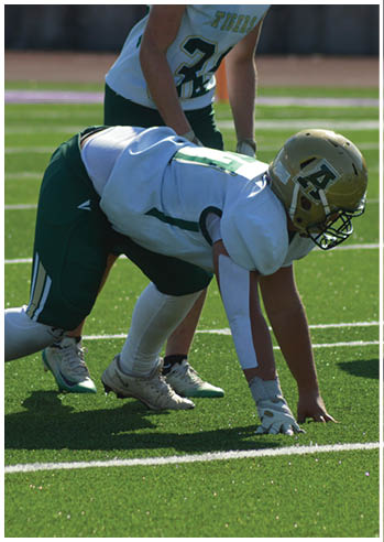A person in football gear is crouched in a ready position on a green field with other players standing nearby. Description generated by AI