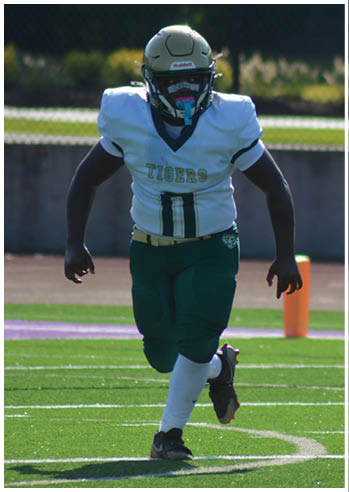A person wearing a white football jersey with “TIGERS" and the number 11 in green and gold, green football pants, and a helmet is running on a football field. Description generated by AI