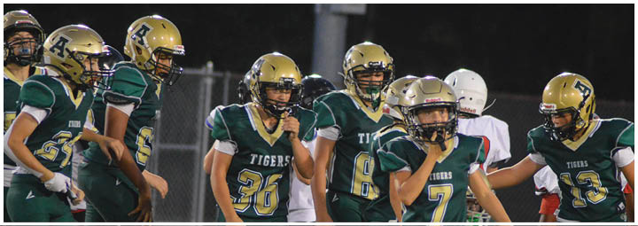 A group of people wearing green and gold football uniforms with helmets are gathered on a field during a nighttime game. Description generated by AI
