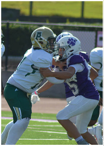 Children wearing football uniforms are engaged in a play on a sunny outdoor field with one player in white and green tackling another player in purple and white. Description generated by AI