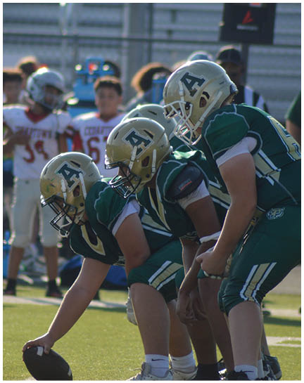 People in football uniforms are lined up on a field facing each other, preparing for a play. Description generated by AI