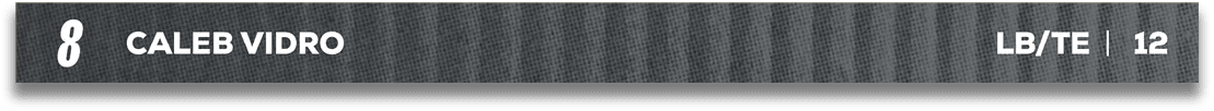 Red and blue fabric. Description generated by AI