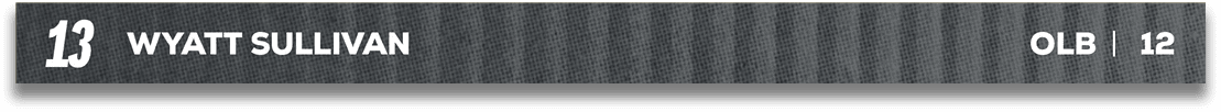 Red and blue fabric. Description generated by AI
