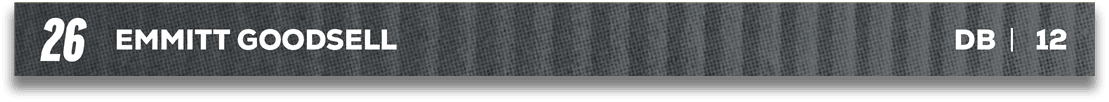 Red and blue fabric. Description generated by AI