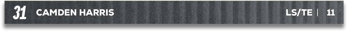 Red and blue fabric. Description generated by AI