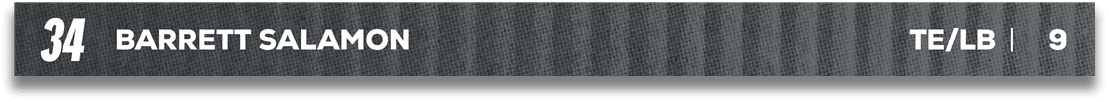 Red and blue fabric. Description generated by AI