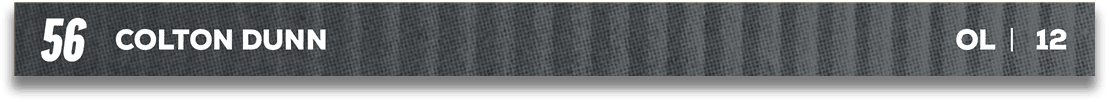 Red and blue fabric. Description generated by AI