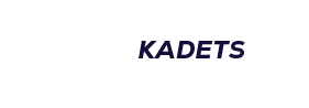 $$$/StateType/Normal