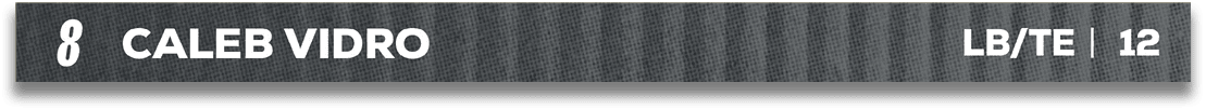 Red and blue fabric. Description generated by AI