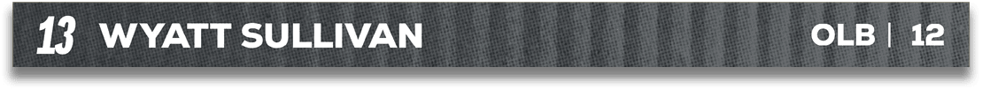 Red and blue fabric. Description generated by AI