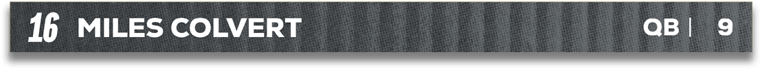Red and blue fabric. Description generated by AI