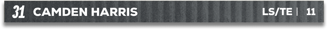 Red and blue fabric. Description generated by AI
