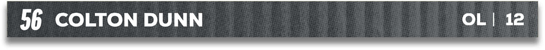 Red and blue fabric. Description generated by AI