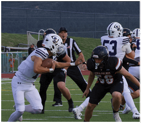 A football player running on the field. Description generated by AI