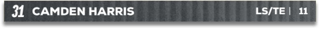 Red and blue fabric. Description generated by AI