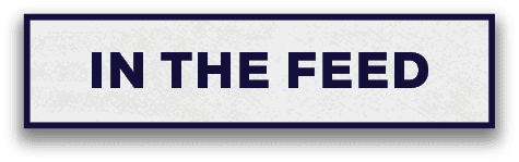 IN THE FEE