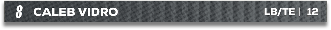 Red and blue fabric. Description generated by AI