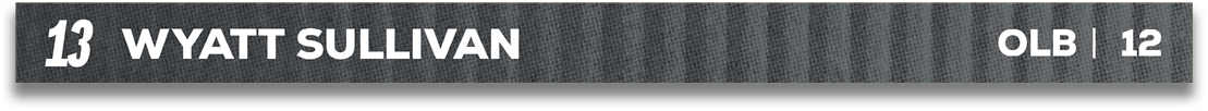 Red and blue fabric. Description generated by AI