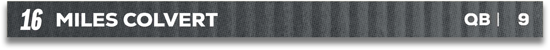 Red and blue fabric. Description generated by AI