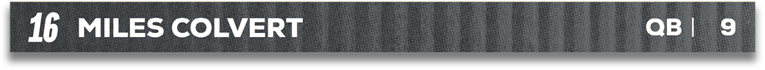 Red and blue fabric. Description generated by AI