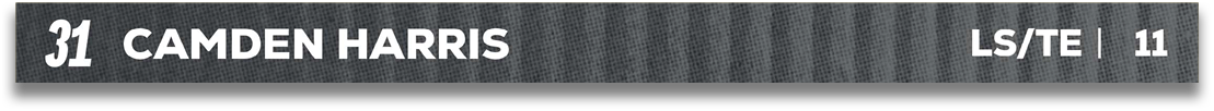 Red and blue fabric. Description generated by AI
