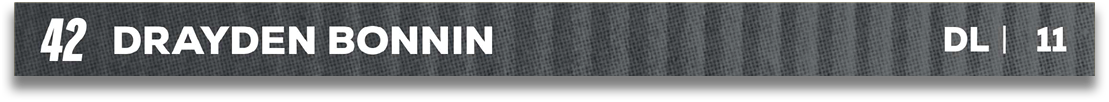 Red and blue fabric. Description generated by AI