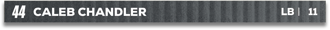 Red and blue fabric. Description generated by AI