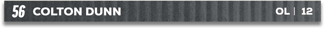 Red and blue fabric. Description generated by AI
