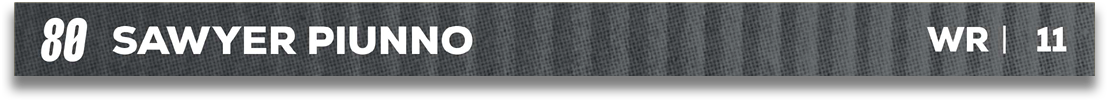 Red and blue fabric. Description generated by AI