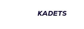 $$$/StateType/Normal