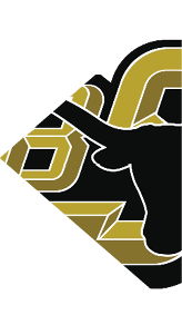 A stylized graphic featuring a black silhouette of a longhorn steer overlaid on gold and white three-dimensional block letters. Description generated by AI