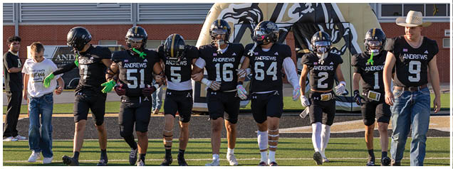 Seven people wearing black football uniforms with “Andrews" on the front walk arm in arm on a football field with a large inflatable logo in the background. Description generated by AI