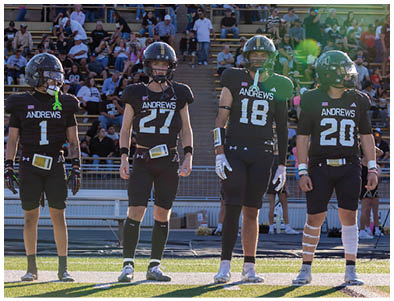 Four people wearing black football uniforms with helmets stand side by side on a field with spectators in the background. Description generated by AI