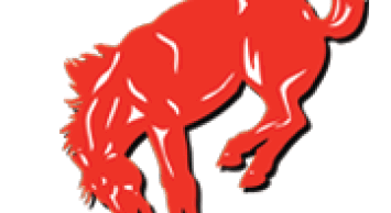 A blue and white bull head. Description generated by AI