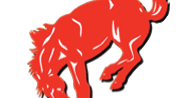 A stylized red horse is depicted in a dynamic, mid-air pose with its head lowered and legs bent. Description generated by AI